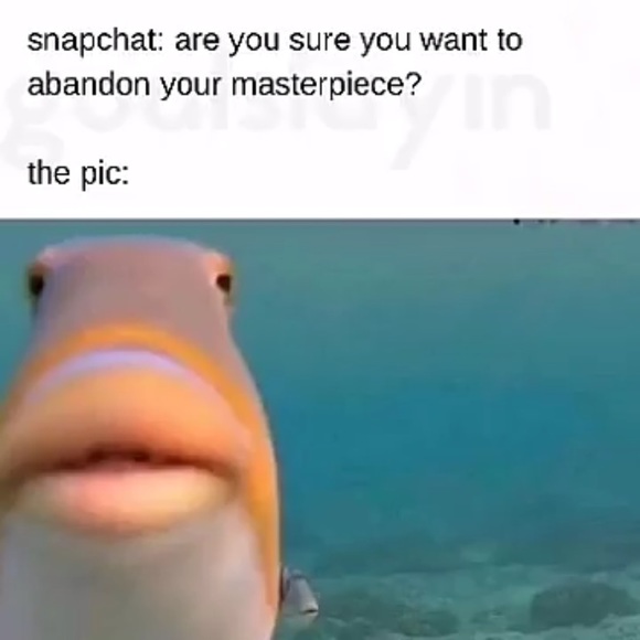 Meet your Posher, Joleen - Picture 3 of 7